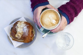 Warm cappuccino with an almond biscuit on a table, hands warming the cup, Lower Austria Austria