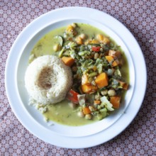 Rice served with vegetable curry in a green sauce on a white plate, Lower Austria Austria
