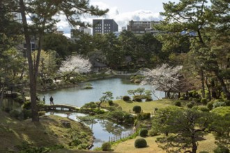 View over the Shukkei-en with blossoming cherry trees, Sakura, and Takuei-chi pond in spring,