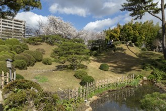 Green plants, cherry trees, sakura, spring in Shukkei-en, historical Japanese garden, Japanese