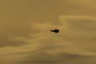 Lockheed Martin F-35 Lightning II fighter military aircraft of the United States air force USAF