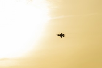 Lockheed Martin F-35 Lightning II fighter military aircraft of the United States air force USAF