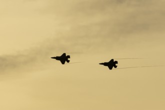 Lockheed Martin F-35 Lightning II fighter two military aircraft of the United States air force USAF