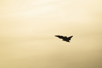 Eurofighter Typhoon silhouette of a military fighter jet aircraft of the Royal air force RAF flying