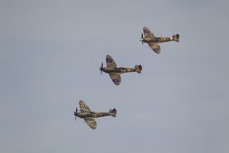Supermarine Spitfire three warbird military aircraft in Royal air force RAF colours flying,