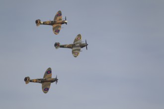 Supermarine Spitfire three warbird military aircraft in Royal air force RAF colours flying,