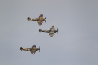 Supermarine Spitfire three warbird military aircraft in Royal air force RAF colours flying,