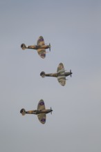 Supermarine Spitfire three warbird military aircraft in Royal air force RAF colours flying,