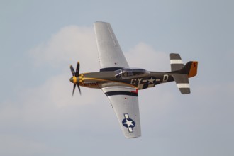 North American Aviation P-51 Mustang warbird military aircraft in United States of America USAF