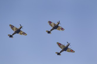 Supermarine Spitfire three warbird military aircraft in Royal air force RAF colours flying,