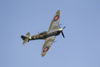 Supermarine Spitfire warbird military aircraft in Royal air force RAF colours flying, England,