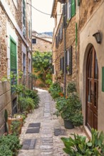 Idyllic narrow cobblestone alley with lush green plants and flowers at the entrance to a