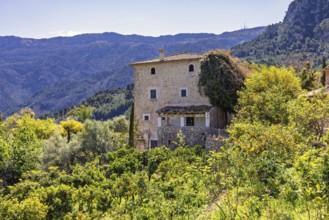 Old stone house in an fruit orchard with lush foliage in a mountainous area, Mallorca, Spain