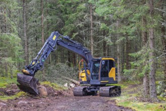 Excavator on a road construction site in a spruce forest