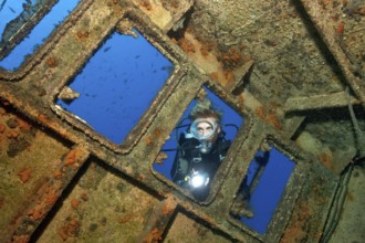 Diver looking from outside into wreck ship El Peñon, East Atlantic, Tabaita, Tenerife, Canary