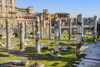 View of excavated columns and partially restored floor of Basilica Ulpia from Roman antiquity, in