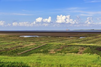 Salt marshes, lighthouse Westerheversand on the horizon, Cumulus, Westerhever, Eiderstedt,