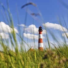 View through grasses to lighthouse Westerheversand, Westerhever, Eiderstedt, Nordfriesland,