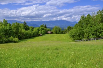 At the Baumgartnerhof, near Finkenstein, Carinthia, Austria