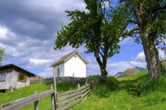At the Baumgartnerhof, near Finkenstein, Carinthia, Austria