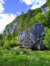 Rocks, climbing rocks, Kanzianiberg, Finkenstein am Faaker See, Carinthia, Austria