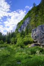 Rocks, climbing rocks, Kanzianiberg, Finkenstein am Faaker See, Carinthia, Austria