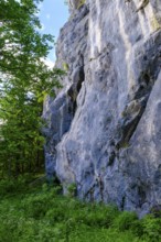 Rocks, climbing rocks, Kanzianiberg, Finkenstein am Faaker See, Carinthia, Austria