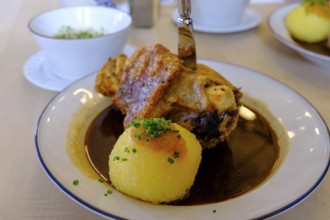 Pork knuckle, with dumpling, Food, Gasthof Herzog Maximilian, Gmund am Tegernsee, Upper Bavaria,