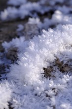 Snow crystals in winter on the young Isar between Wallgau and Vorderriss, Tölzer Land, Upper