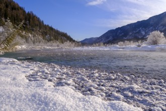 Winter on the young Isar between Wallgau and Vorderriss, Tölzer Land, Upper Bavaria, Bavaria,