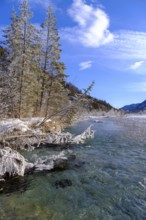 Winter on the young Isar between Wallgau and Vorderriss, Tölzer Land, Upper Bavaria, Bavaria,