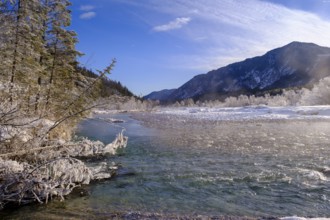 Winter on the young Isar between Wallgau and Vorderriss, Tölzer Land, Upper Bavaria, Bavaria,