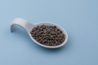 White ceramic spoon with lentils and blue bottom