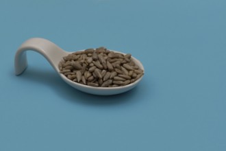 White ceramic spoon with peeled sunflower seeds and blue background
