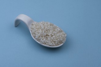 White ceramic spoon with white uncooked rice and blue background