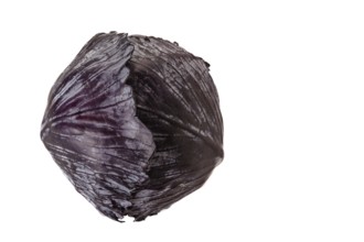 Purple cabbage or red cabbage isolated on white background top view