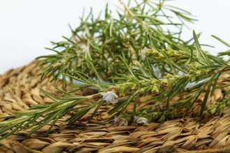 Sprigs of fresh rosemary with delicate white flowers lie on a woven mat, ready for culinary or