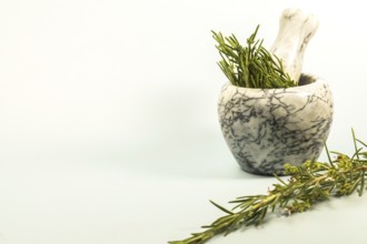 Fresh rosemary sprigs are placed in a marble mortar and pestle, ready for grinding and use in