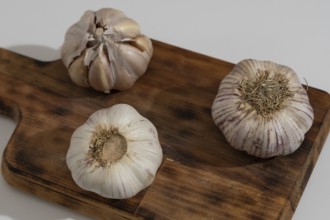 Whole and peeled garlic on wooden board and white background