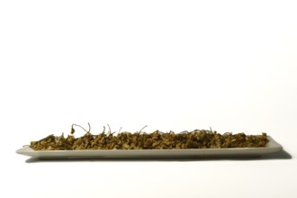 Dried chamomile on a white plate isolated on a white background with copy space