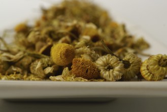 Dried chamomile on a white plate isolated on a white background with copy space