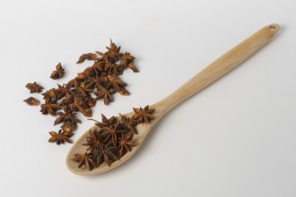 Close-up of star anise illicium verum in a wooden spoon isolated on white background and copy space