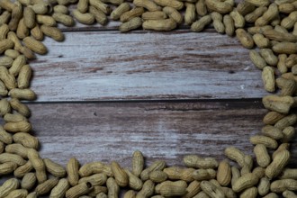 Group of peanuts arranged in a circle with copy space in the center