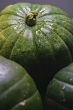 Green pumpkins cut in half on wood and white background