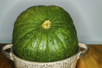 Green pumpkins in a ceramic bowl on wood and a white background