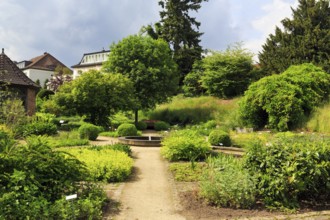 Paths for walkers in the Celle medicinal plant garden, show garden for medicinal plants, park, Expo