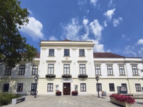 Historical museum with symmetrical façade and blooming roses in the foreground, under a blue sky