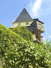 Historic tower and half-timbered house embedded in green vegetation under a blue sky Graz Clock