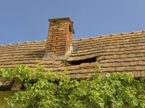 An old tiled roof with a damaged chimney and ivy against a clear sky Styria Austria