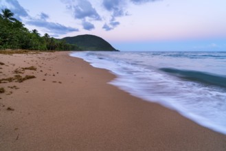 Grande Anse beach, coast and sea at dawn, Deshaies, Basse Terre, Guadeloupe, French Antilles,